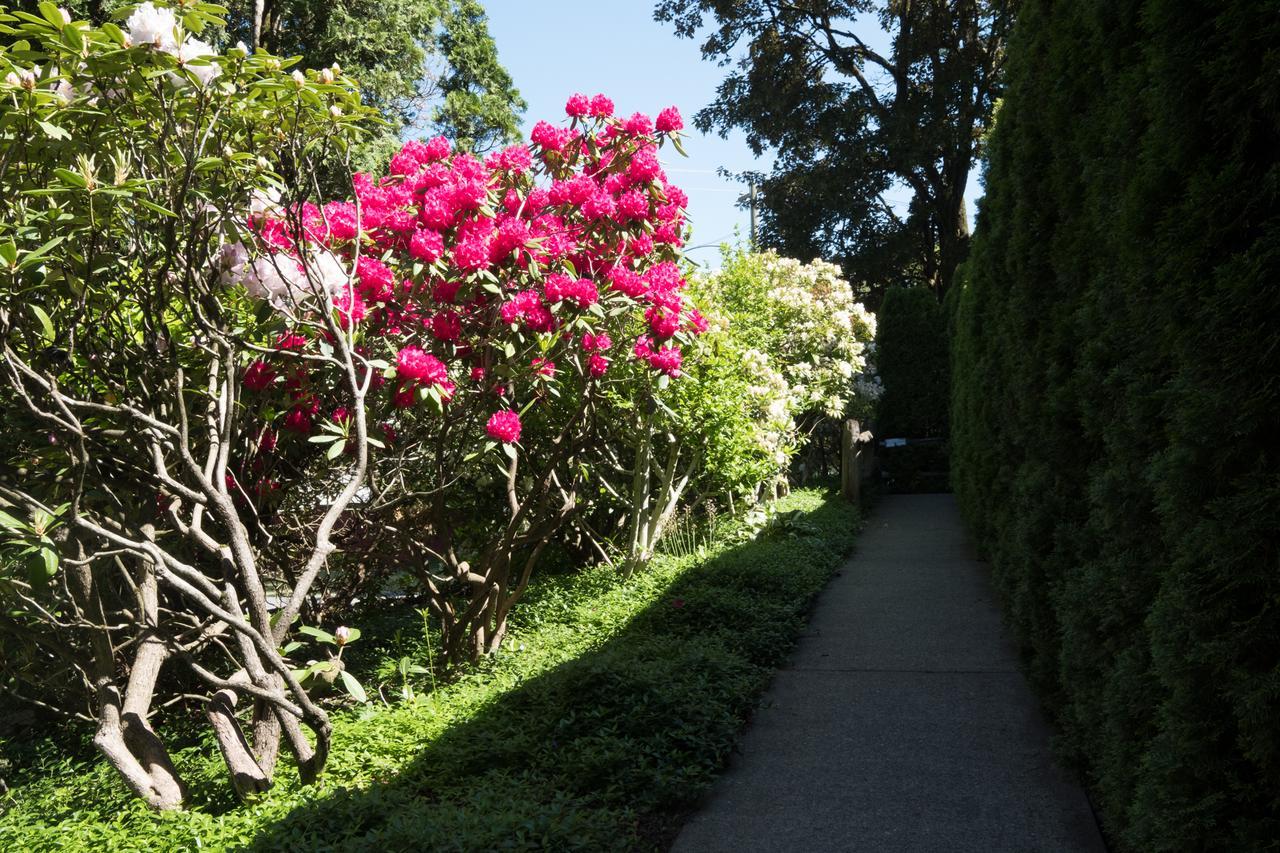 Bramblebank Cottages 哈里森温泉 外观 照片